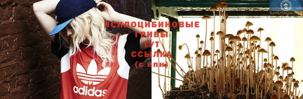 трава Абинск
