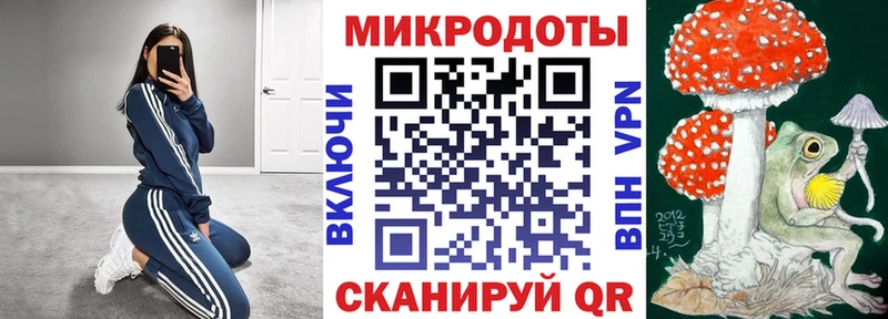 Галлюциногенные грибы Psilocybe  Котовск 